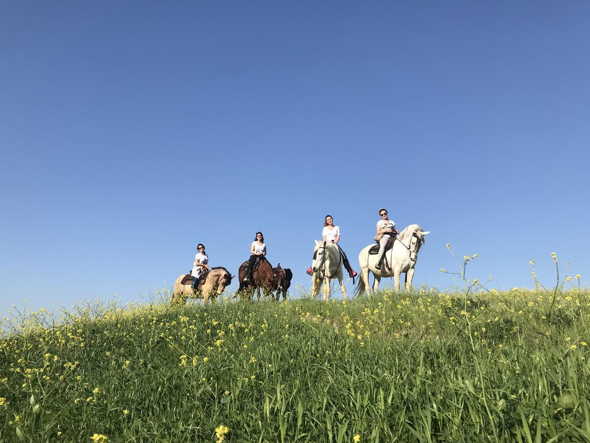 Agriturismo Pieve Sprenna بونكونفينتو المظهر الخارجي الصورة