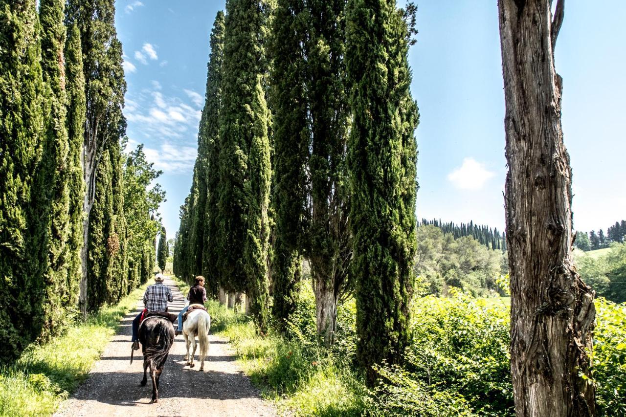 Agriturismo Pieve Sprenna بونكونفينتو المظهر الخارجي الصورة